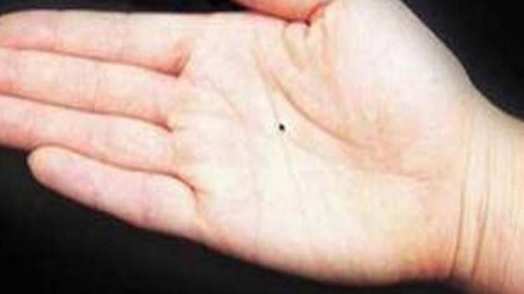 হাতের আঙুলই বলে দেয় স্বভাব ও ভবিষ্যৎ, জেনে নিন আপনারটা