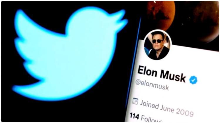 Twitter-এ ব্লু টিকের জন্য ভারতে খরচ অনেক কম, কত পড়বে?