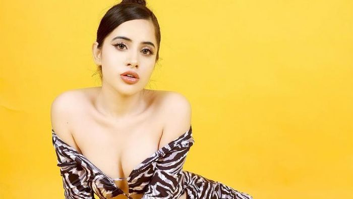 উরফি জাভেদ (ছবি: ফেসবুক)