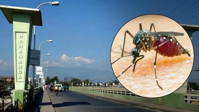 ডেঙ্গির ভয়ে শিলিগুড়িতে একের পর এক হোটেল বাতিলের হিড়িক?