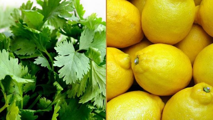 করোনা দূরে রাখে লেবু-ধনেপাতা