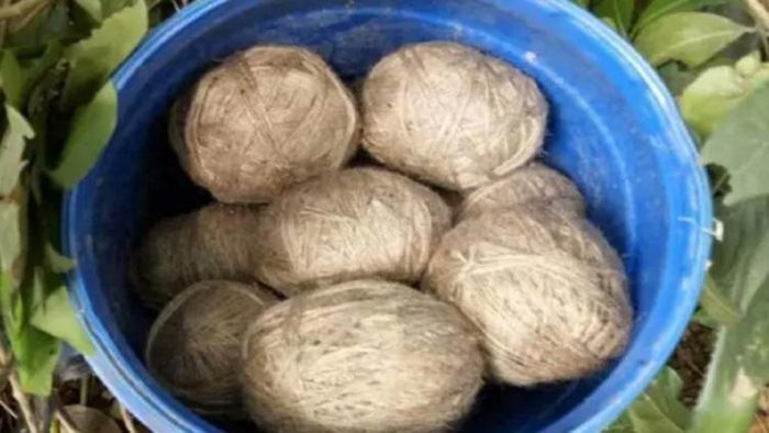 প্রতীকী ছবি