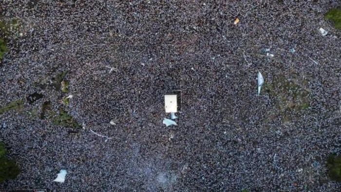 মেসিদের জন্য উত্সব আর্জেন্টিনায়