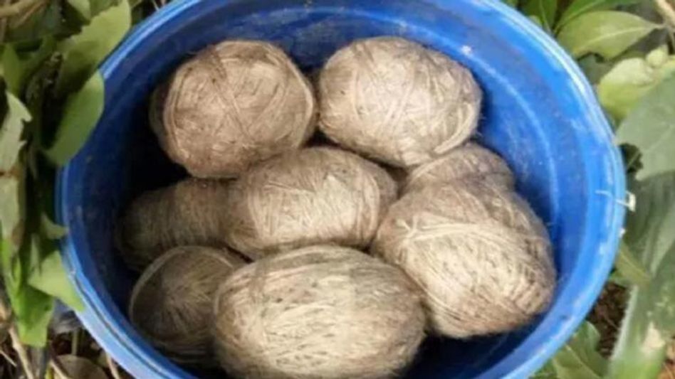 ভাঙড়ে চাষের জমিতে উদ্ধার ব্যাগ ভর্তি বোমা ভাঙড়ে চাষের জমিতে উদ্ধার ব্যাগ ভর্তি বোমা