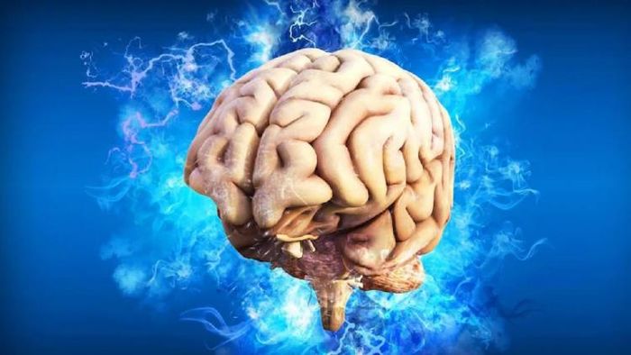 প্রতীকী ছবি