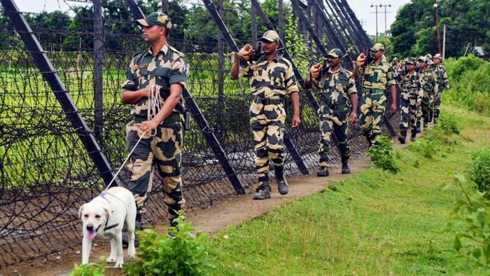 অন্তঃসত্ত্বা বিএসএফের কুকুর।