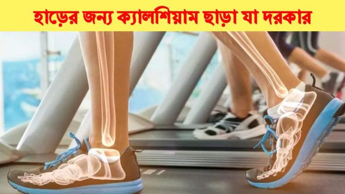 হাড় শক্ত করতে কী কী দরকার?