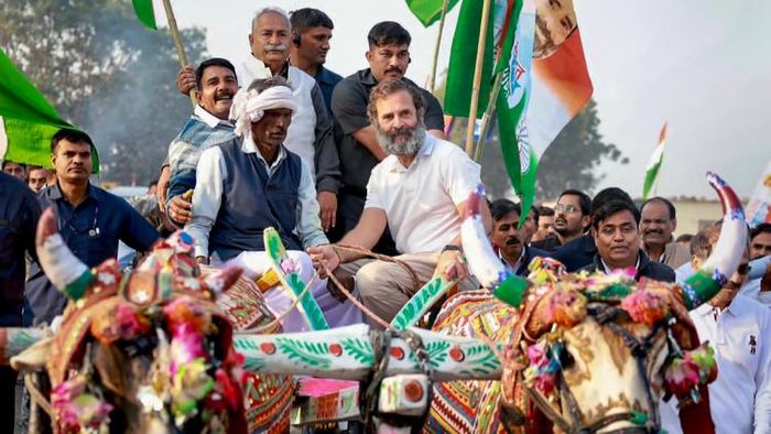 : 'ভারত জোড়া' যাত্রার ১০০ দিন পূর্ণ