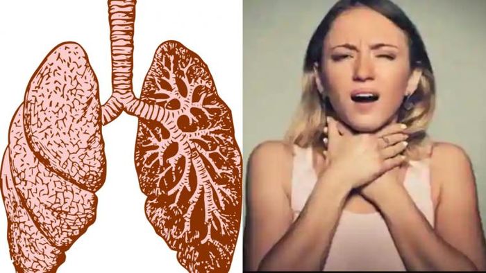 How To Keep Lungs Healthy: কিছু খাবার আছে যা আপনার হাঁপানি থাকলে ডায়েটে অন্তর্ভুক্ত করা উচিত