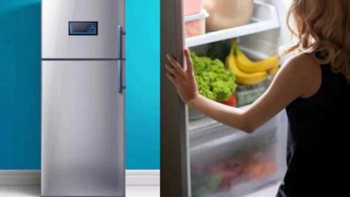 ফ্রিজ ঠিক রাখার উপায়।