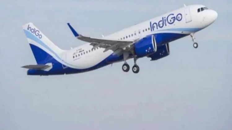 ইন্ডিগো/ প্রতীকী ছবি