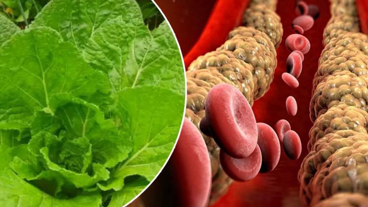 Uyqu tabletkalari bilan uyqu porno onlayn Dantelli ichki kiyimdagi it uslubi