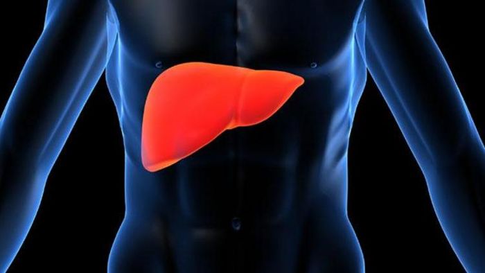 লিভার ডিটক্সের টিপস।