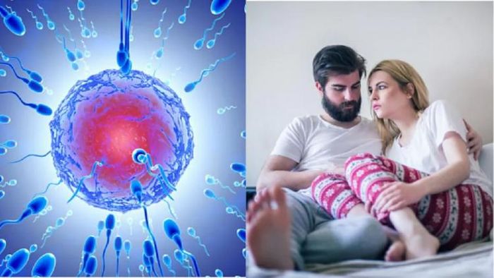 প্রতীকী ছবি