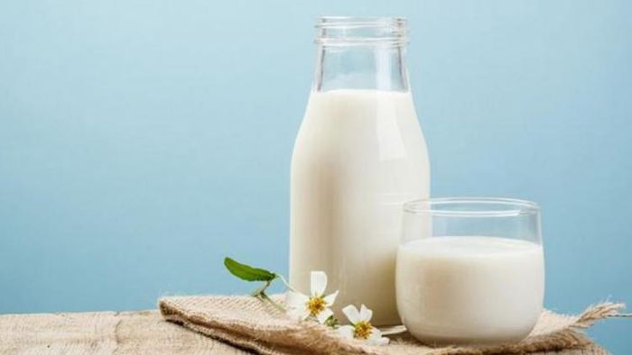 দুধ ছাড়া আর কীসে রয়েছে ভিটামিন?