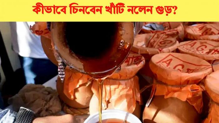কীভাবে চিনবেন খাঁটি নলেন গুড়?