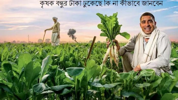 কৃষক বন্ধুর টাকা