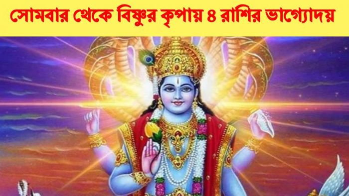 সফলা একাদশীতে ভাগ্যোদয় ৪ রাশির।