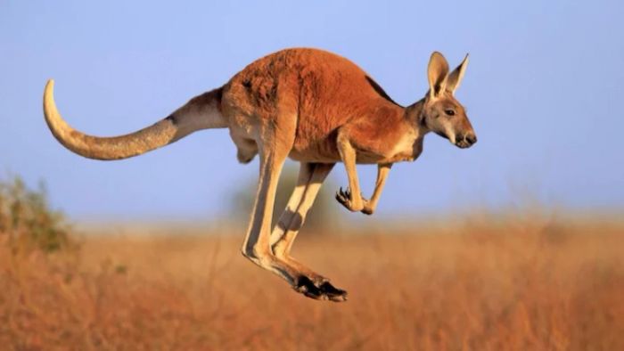 প্রতীকী ছবি