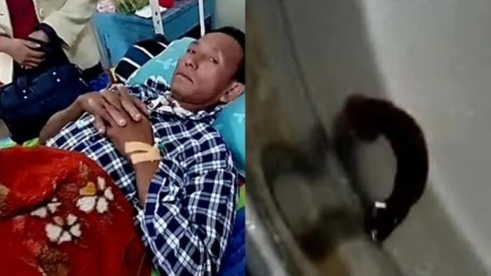 ১৫ দিন ধরে শ্বাসনালিতে আটকে ছিল জোঁক