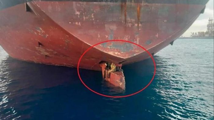 ১১ দিন জাহাজের নীচে ঝুলে ৩২০০ কিমি পাড়ি, Viral ত্রিমূর্তির কীর্তি