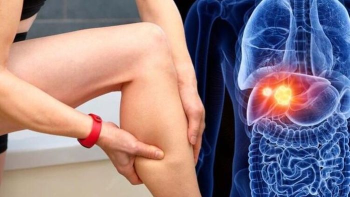 আপনার লিভার ঠিকমতো কাজ করছে? জানা যাবে পায়ের এই সংকেতেই