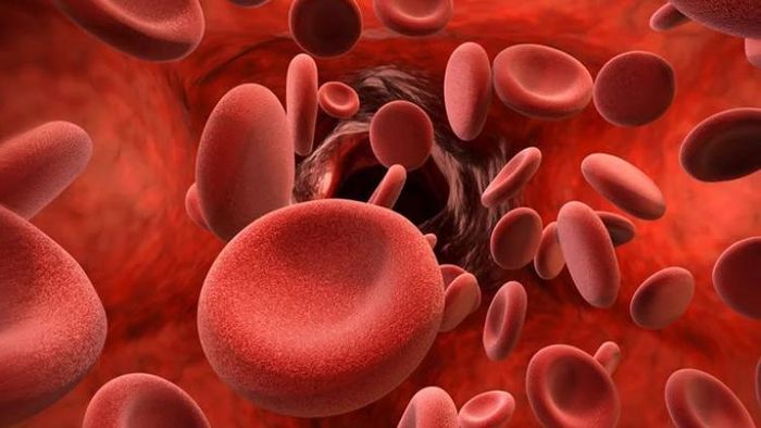 এই গ্রুপের রক্ত হলে এখনই সাবধান, স্মৃতিভ্রংশ হওয়ার সম্ভাবনা