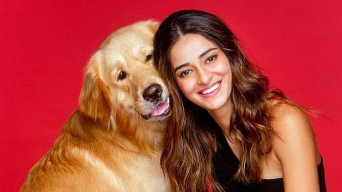 অনন্যা পাণ্ডের সঙ্গে তাঁর প্রিয় পোষ্য ছবি সৌজন্যে: ইনস্টাগ্রাম