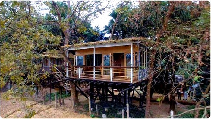 আরামবাগেই রয়েছে ছবির মতো সাজানো ট্রি-হাউজ।