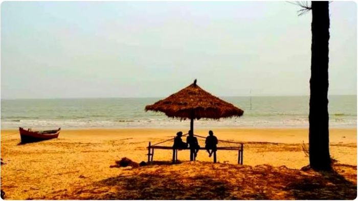 সাগরপাড়ে ভ্রমণের স্বাদ বদলের জন্য কোনও অফবিট সি বিচ খুঁজছেন? তাহলে ঘুরে আসতে পারেন বাগদা সি বিচ থেকে।