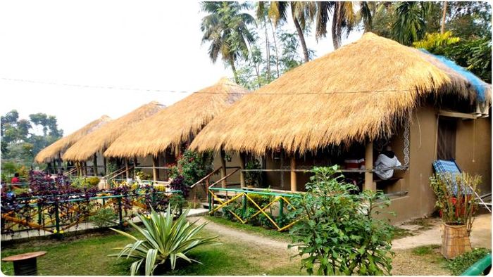 কলকাতার অদূরেই এক টুকরো ‘রঙিন অবসর’-এর মন মাতানো ঠিকানা বনবীথি ইকো রিসোর্ট।