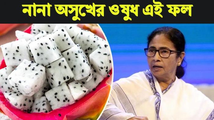 ড্রাগন ফলের বিবিধ গুণ।