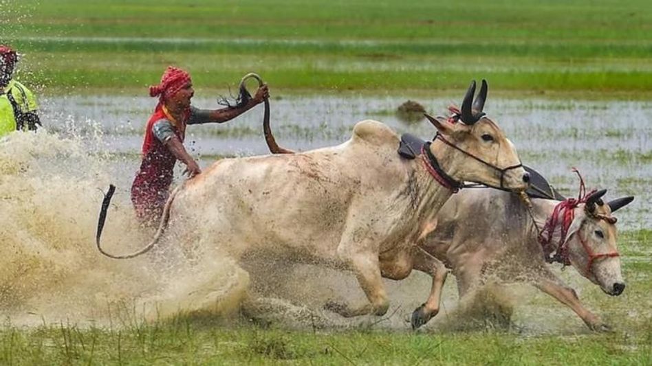 PM Kisan যোজনায় ১৪ কোটি কৃষক পাবেন ১৫ লক্ষ টাকা; কীভাবে আবেদন? PM Kisan যোজনায় ১৪ কোটি কৃষক পাবেন ১৫ লক্ষ টাকা; কীভাবে আবেদন?