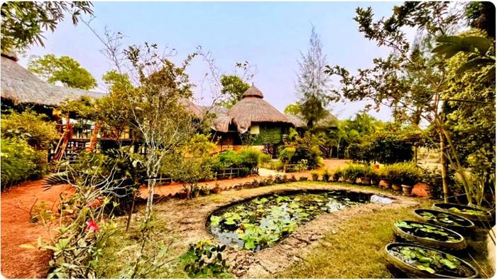 শীতের আমেজ গায়ে মেখে গ্রামীণ কোলাহলমুক্ত পরিবেশে দুটো দিন কাটিয়ে আসতে চাইলে তার জন্য একদম আদর্শ জায়গা হল মনচাষা (Monchasha Rural Tourism)।