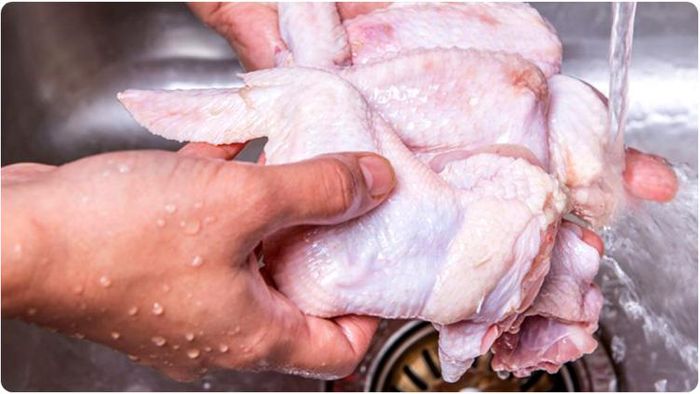 আতঙ্ক বাড়াচ্ছে সালমোনেলা ব্যাক্টেরিয়া; আর এই সংক্রমণের উৎস হল মাংস!