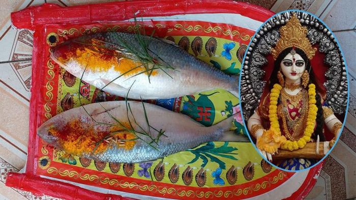 সরস্বতী পুজোয় জোড়া ইলিশ বরণ করে বিয়ে দেওয়ার রীতি (ছবি: ফেসবুক)
