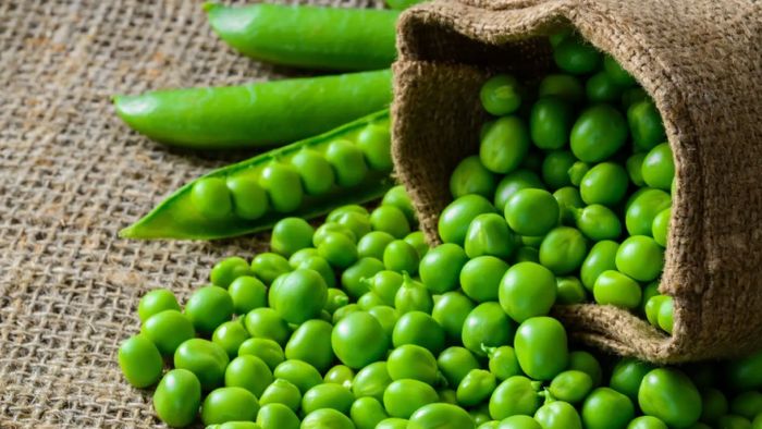 মটরশুঁটি খাওয়ার অনেক উপকারিতা রয়েছে, তবে এই সমস্যাগুলিতে এটি খেলে ক্ষতি হতে পারে