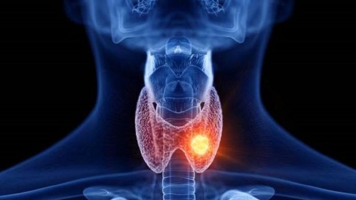 প্রতীকী ছবি