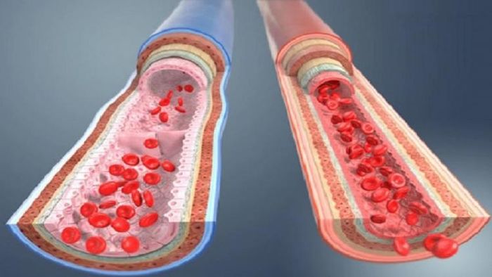 প্রতীকী ছবি