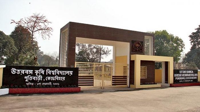 মোটা বেতনে শিক্ষাকর্মী নিয়োগ রাজ্যের এই বিশ্ববিদ্যালয়ে, আজই আবেদন করুন