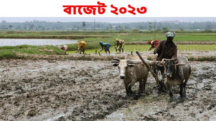 কৃষিক্ষেত্রের উন্নয়নে একগুচ্ছ ঘোষণা করা হয়েছে এই বাজেটে। কৃষকদের জন্য অনেক গুরুত্বপূর্ণ ঘোষণা করেছেন অর্থমন্ত্রী।