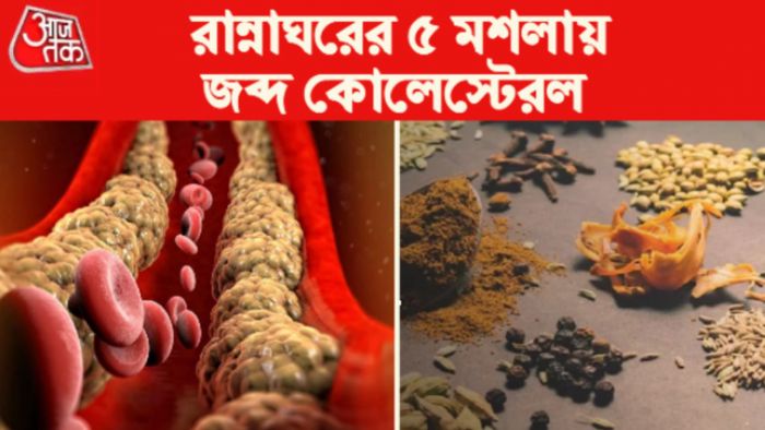 ৫ মশলায় জব্দ হবে কোলেস্টেরল।
