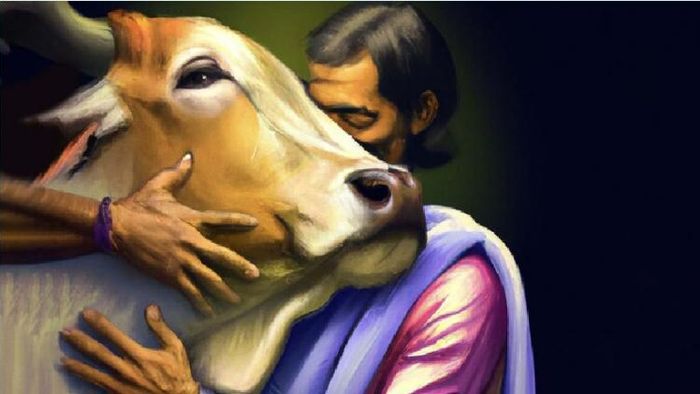 ফাইল ছবি।