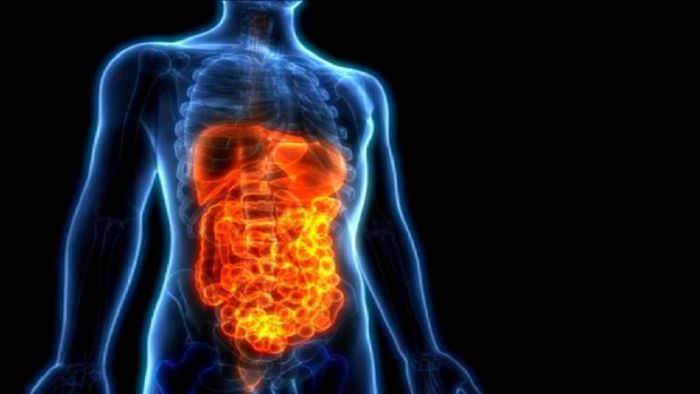 প্রতীকী ছবি