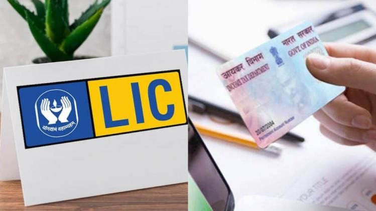 LIC পলিসির সঙ্গে PAN লিঙ্ক