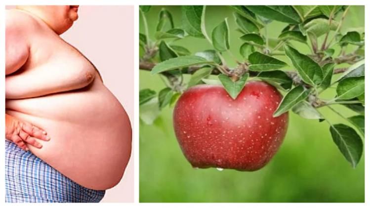 কয়েক সপ্তাহেই রোগা করতে পারে আপেল, খাওয়ার নিয়ম