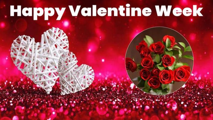 ভ্যালেন্টাইন উইকের মেসেজ