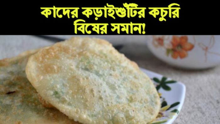 কড়াইশুঁটির কচুরির সাইডএফেক্ট।