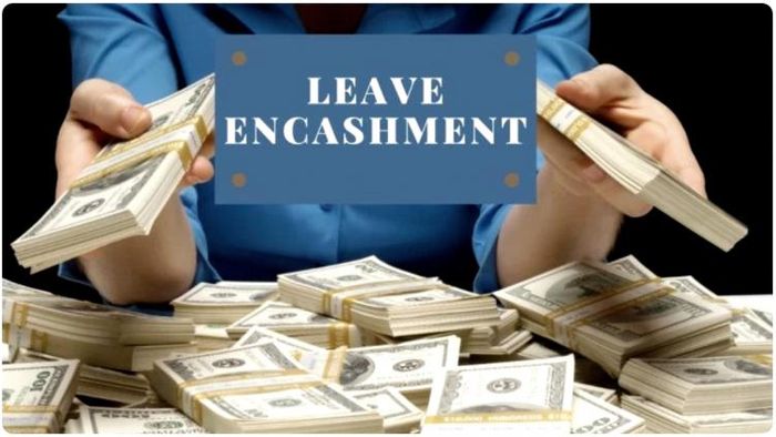 এ বছরের বাজেটে কেন্দ্রীয় অর্থমন্ত্রী লিভ এনক্যাশমেন্টের জন্য কর ছাড়ের সীমা ৩ লক্ষ থেকে বাড়িয়ে ২৫ লক্ষ টাকা করেছেন। এই নিয়ম ১ এপ্রিল থেকে নতুন কার্যকর হবে।