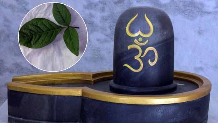 বেলপাতা ছাড়া দেবাদিদেব মহাদেবের পুজো অসম্পূর্ণ বলে মনে করা হয়